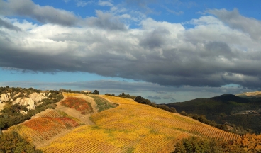 Podere le Ripi