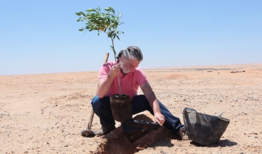 Ensemble nous plantons des arbres dans le désert! 